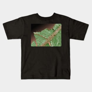 Extreme closeup detail Illustration of Stinging Nettle Kids T-Shirt